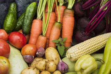 Fresh garden vegetables top view