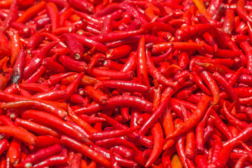 Red Chillies Background,Selective focus