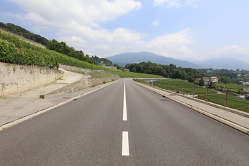 Road in-between the wine yards