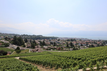 Fototapeta premium View on the Leman riviera in summer