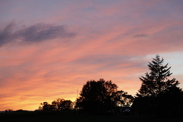 Fototapeta na wymiar Orange sunset above tree on a hill