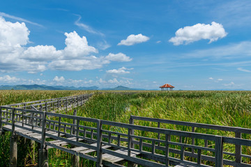 Fototapeta premium Wooden bridge over a lake with blue sky in Sam Roi Yod National Park, Prachuap Khiri Khan, Thailand