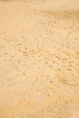 La Concha Beach in Spain