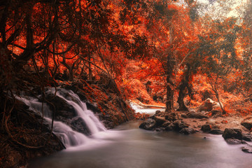 Fototapeta na wymiar Motion waterfall at rainforest in autumn