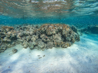 Underwater background and free space for your decoration. 