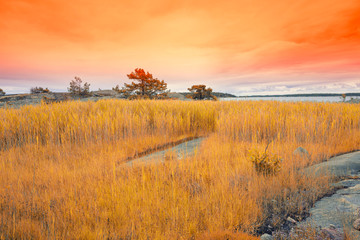 Autumn forest Island lake in twilight sky after sunset