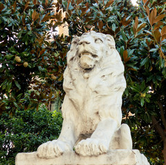 lion statue kavala