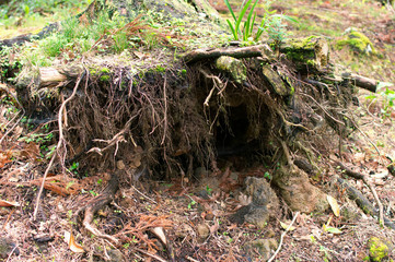 Hole in the ground - Azores