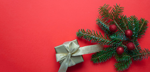 Fototapeta na wymiar Christmas fir twig against red color background