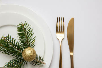 Fir tree twig on white set of dishes, white background