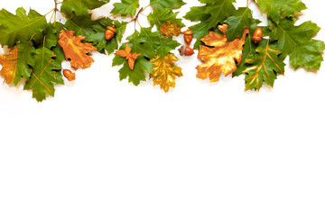 Autumn leafy background oak leaves of green and gold color, golden pumpkins and acorns, frame of autumn leaves on a white background isolated flat lay with copy space