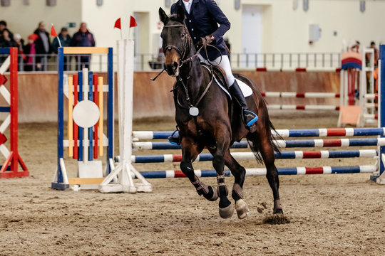 Man Rider Equestrian In Horse Show Jumping Competition