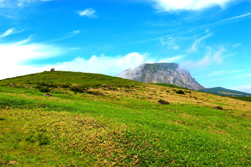 제주에 있는 한라산의 풍경이다