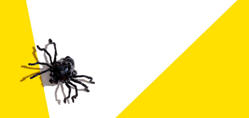 Halloween black spider - overhead view flat lay