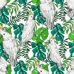 Vector Sky bird cockatoo in a wildlife. Black and white engraved ink art. Seamless background pattern.