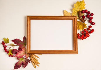 Autumn composition. Wooden photo frame, yellow oak leaves, red maple leaves, Rowan fruits, hawthorn, acorns on white background.