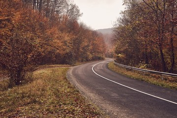 Fototapeta premium Autumn road leading through the woods