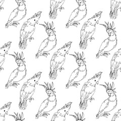 Vector Sky bird cockatoo in a wildlife. Black and white engraved ink art. Seamless background pattern.