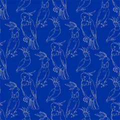 Vector Sky bird cockatoo in a wildlife. Black and white engraved ink art. Seamless background pattern. © LIGHTFIELD STUDIOS