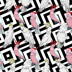 Vector Sky bird cockatoo in a wildlife. Black and white engraved ink art. Seamless background pattern. © LIGHTFIELD STUDIOS