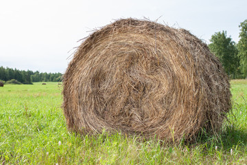 bale of hay on grass