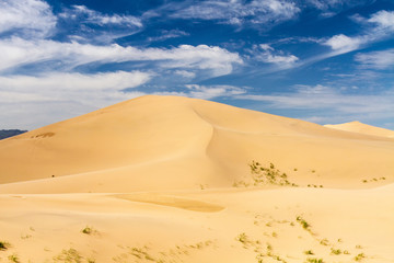 Fototapeta na wymiar Huge dunes of the desert. Beautiful structures of sandy barkhans. Fine place for photographers and travelers. Mongolia.