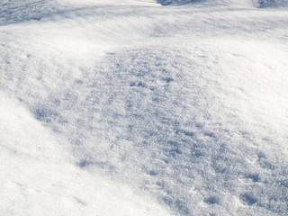 Fototapeta na wymiar Snow in the winter in the forest