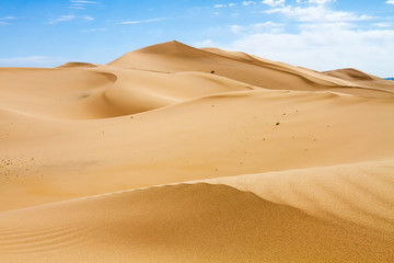Huge dunes of the desert. Beautiful structures of sandy barkhans. Fine place for photographers and travelers. Mongolia.