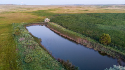 Fototapeta na wymiar Nebraska wetland and livestock pond with moss and algae.