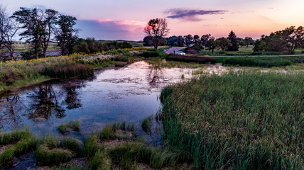 Obraz premium Nebraska wetland and livestock pond with moss and algae.