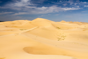 Huge dunes of the desert. Beautiful structures of sandy barkhans. Fine place for photographers and travelers. Mongolia.