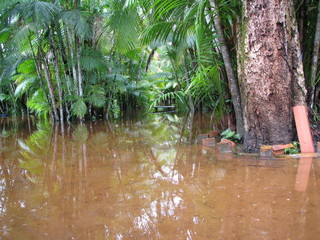 Boat ride at Una river, between amazon rain forest and atlantic forest