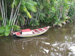 Boat ride at Una river, between amazon rain forest and atlantic forest