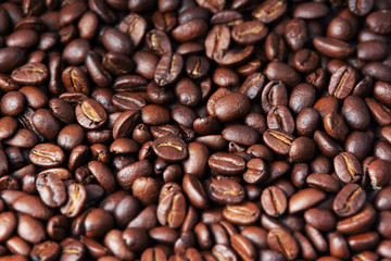 .coffee beans background white more