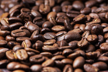coffee beans on burlap background
