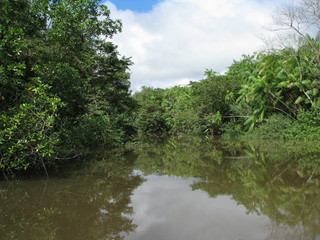 Boat ride at Una river, between amazon rain forest and atlantic forest