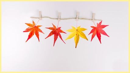 web banner minimal flat lay decorate for autumn to christmas and new year celebrate design from...