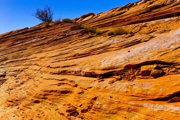 View of Glen Canyon and Lake Powell at Glen Canyon National Recreation Area in northern Arizona, USA.