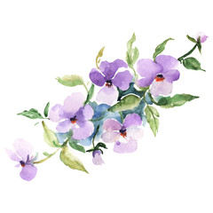 Bouquet floral botanical flowers. Watercolor background illustration set. Isolated bouquets illustration element.