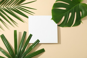 Different palm leaves and empty space on color background, top view