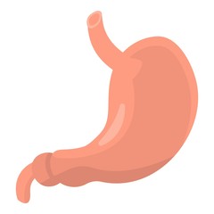 Human stomach icon. Isometric of human stomach vector icon for web design isolated on white background