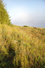 riverbank on a foggy summer morning