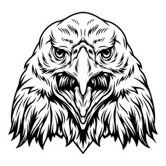Vintage aggressive eagle head concept