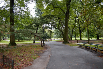 Empty street in a park