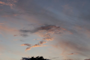 Beautiful pink sunset in summer city clouds romantic