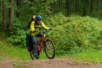 cyclist crosses a ravine in a spruce forest
