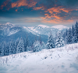 Fototapeta na wymiar Dramatic winter sunrise in Carpathian mountains with snow covered fir trees. Colorful outdoor scene, Happy New Year celebration concept. Artistic style post processed photo.