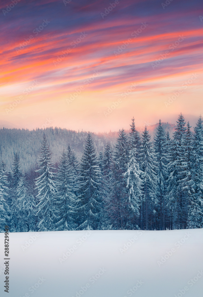 Poster dramatic winter scene in the сarpathian mountain