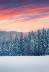 Fototapeta na wymiar Dramatic winter scene in the Сarpathian mountain