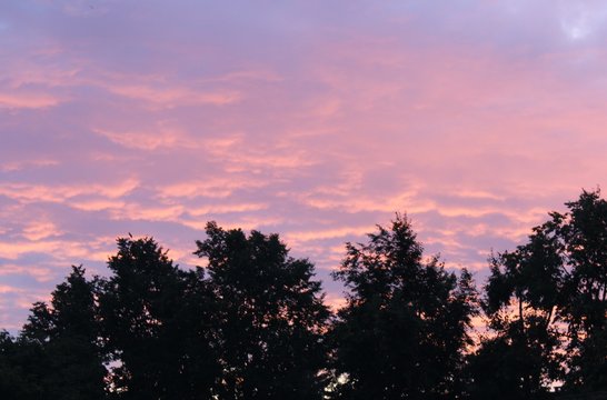 Beautiful pink sunset in summer city clouds trees